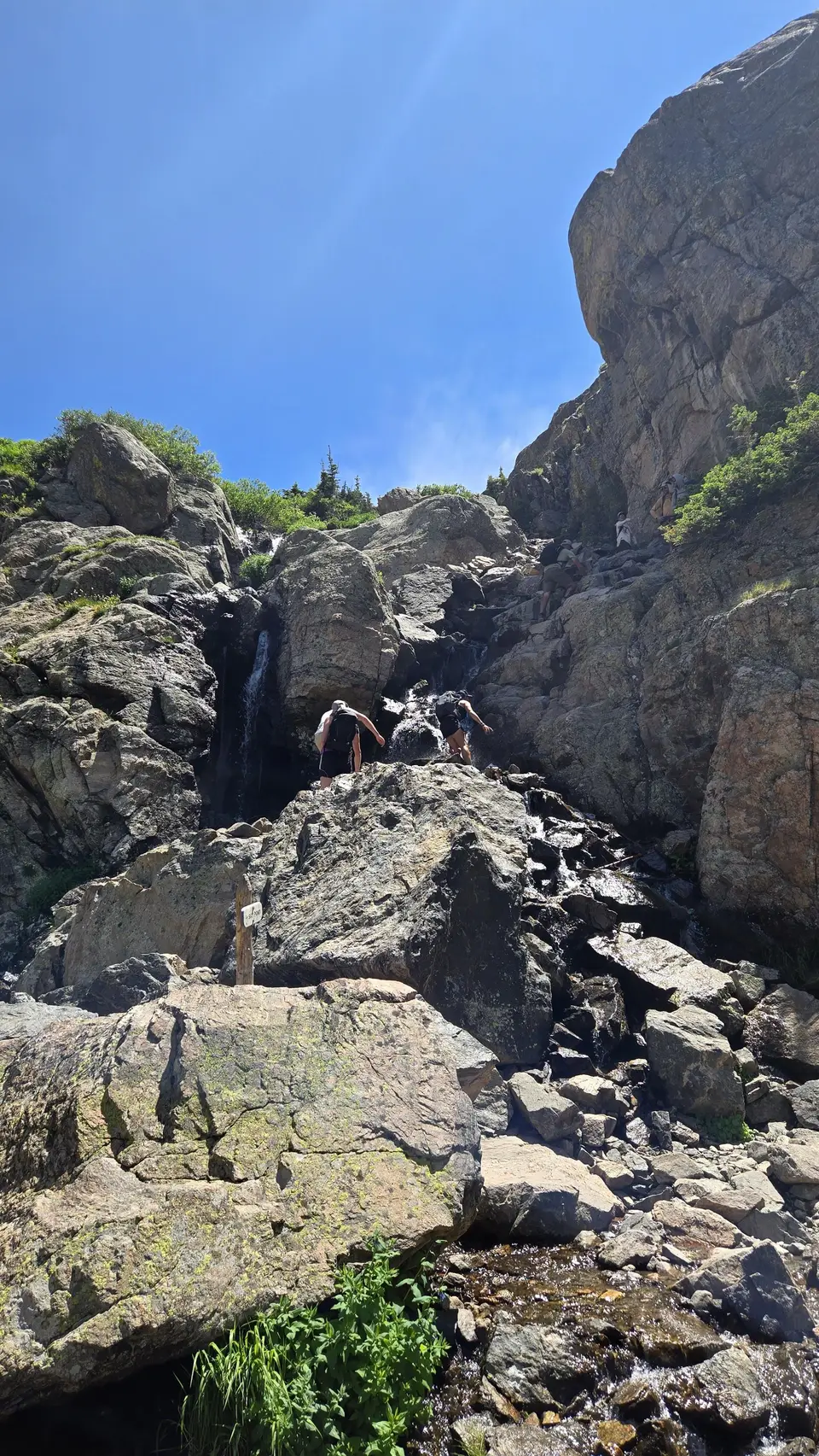 Sky Pond Trail