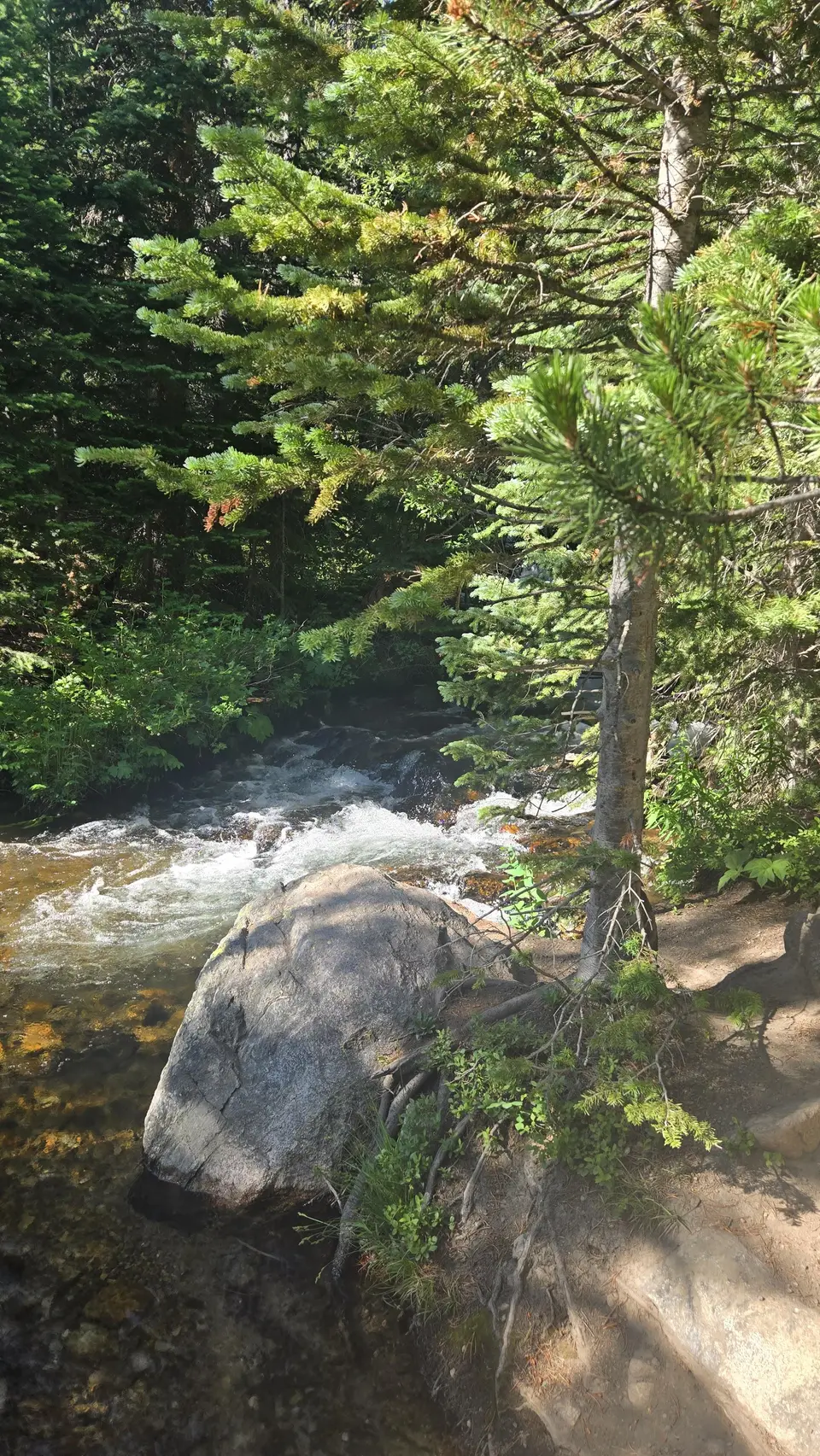 Glacier Gorge Trail