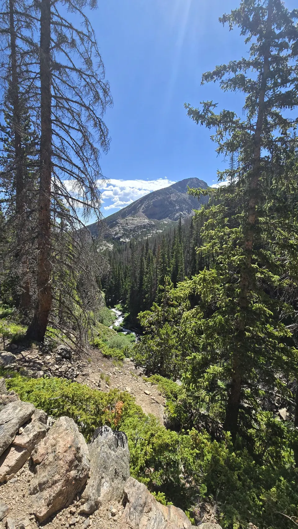 The Loch Trail
