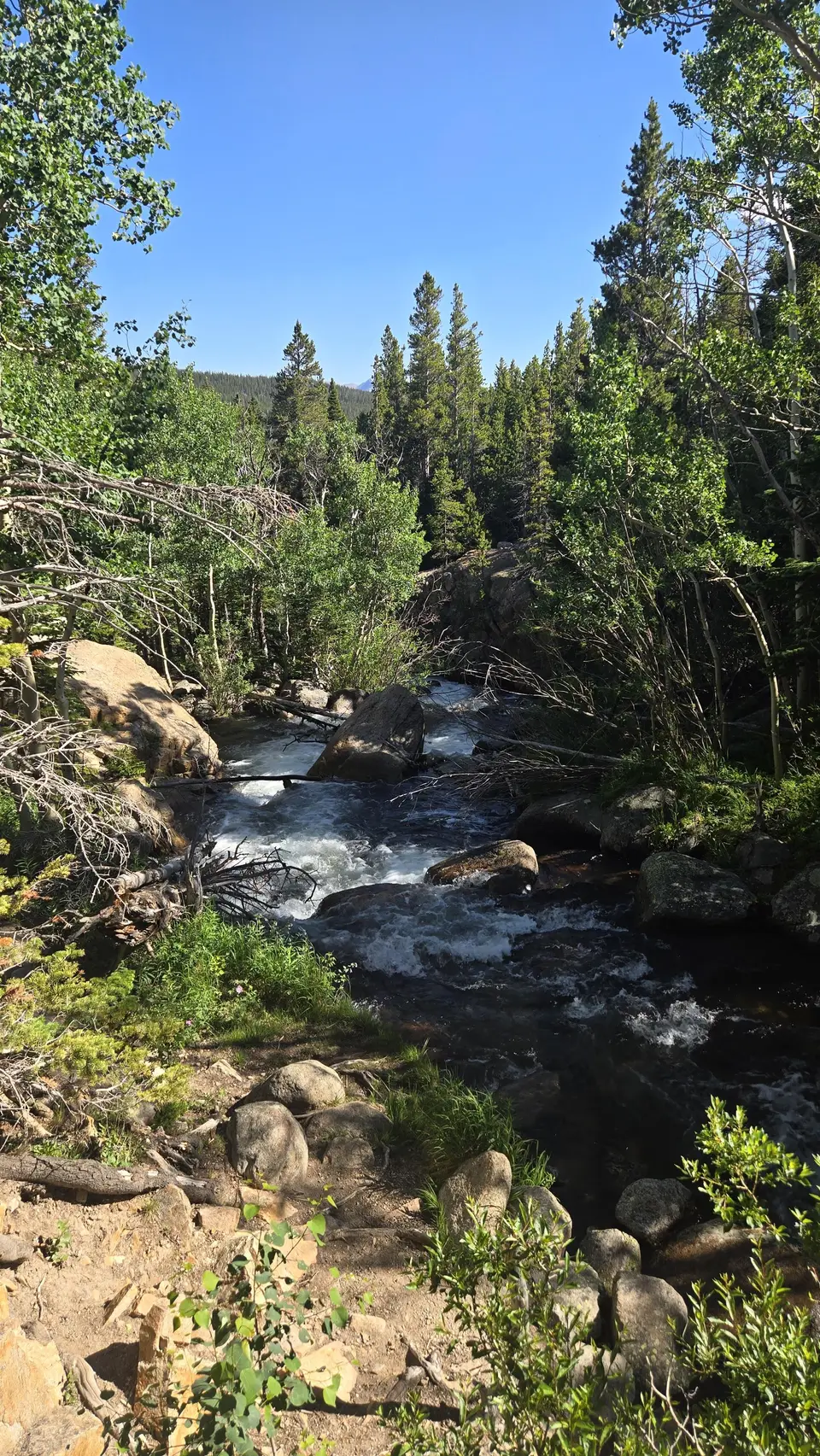 Glacier Gorge Trail