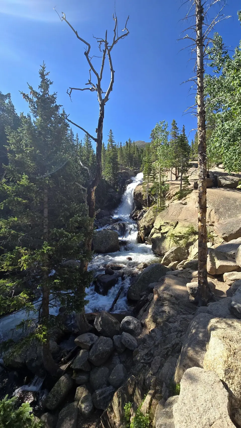 Alberta Falls