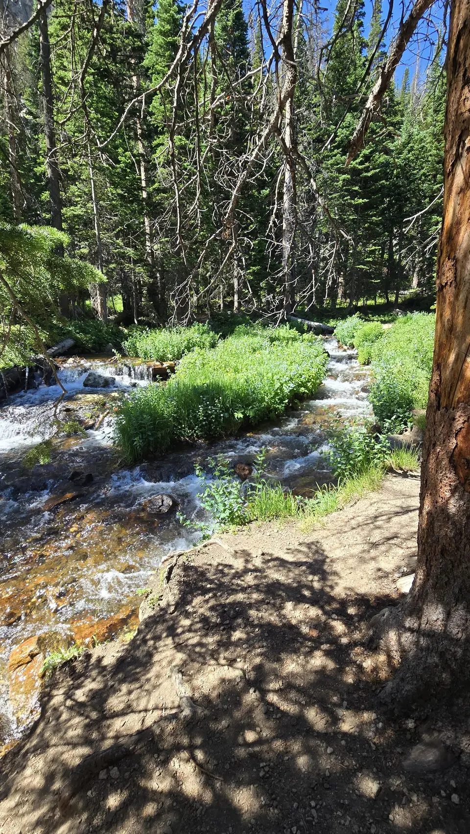The Loch Trail