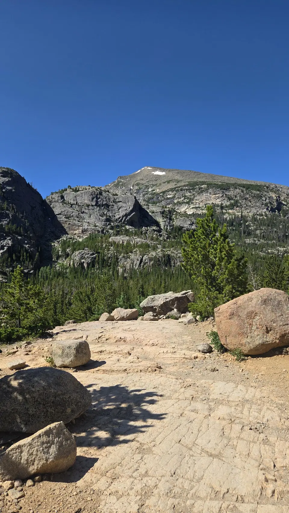 The Loch Trail