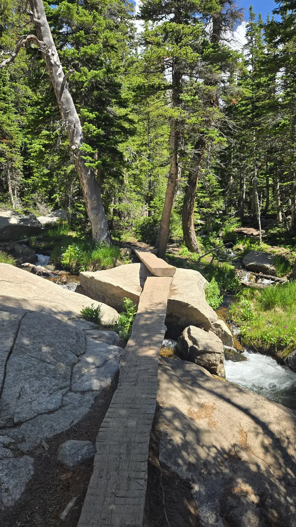 Andrews Glacier Trail