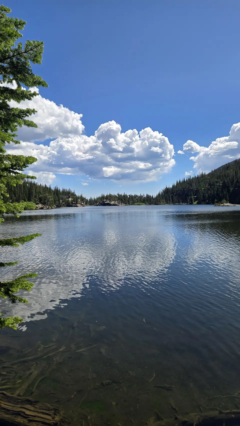 The Loch
