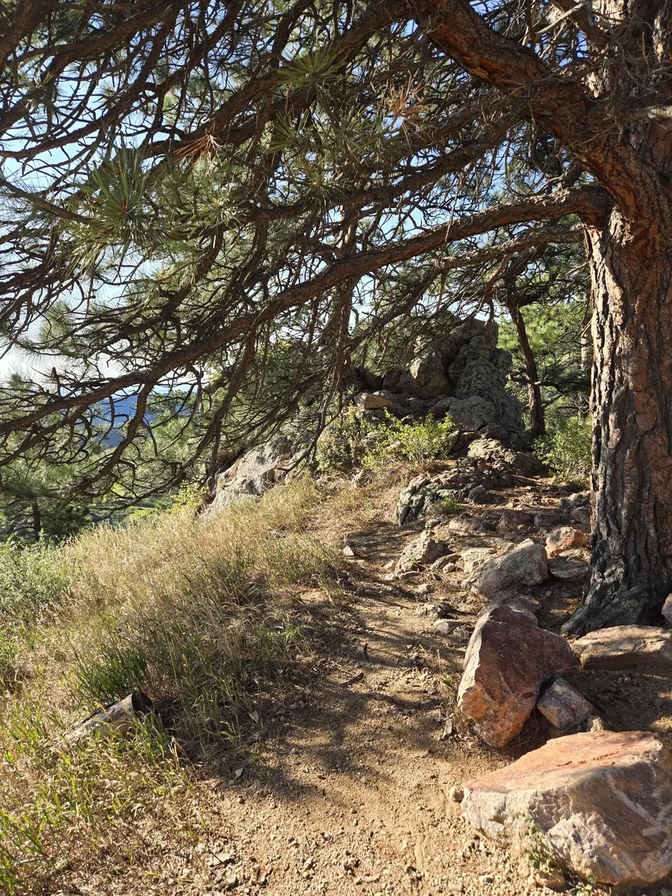 Horsetooth Mountain