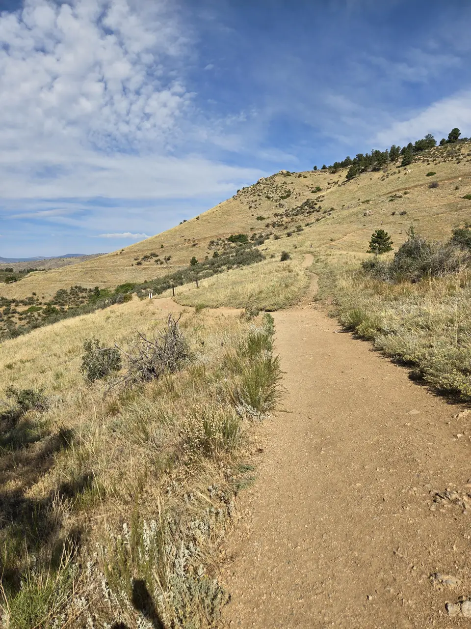 Horsetooth Mountain