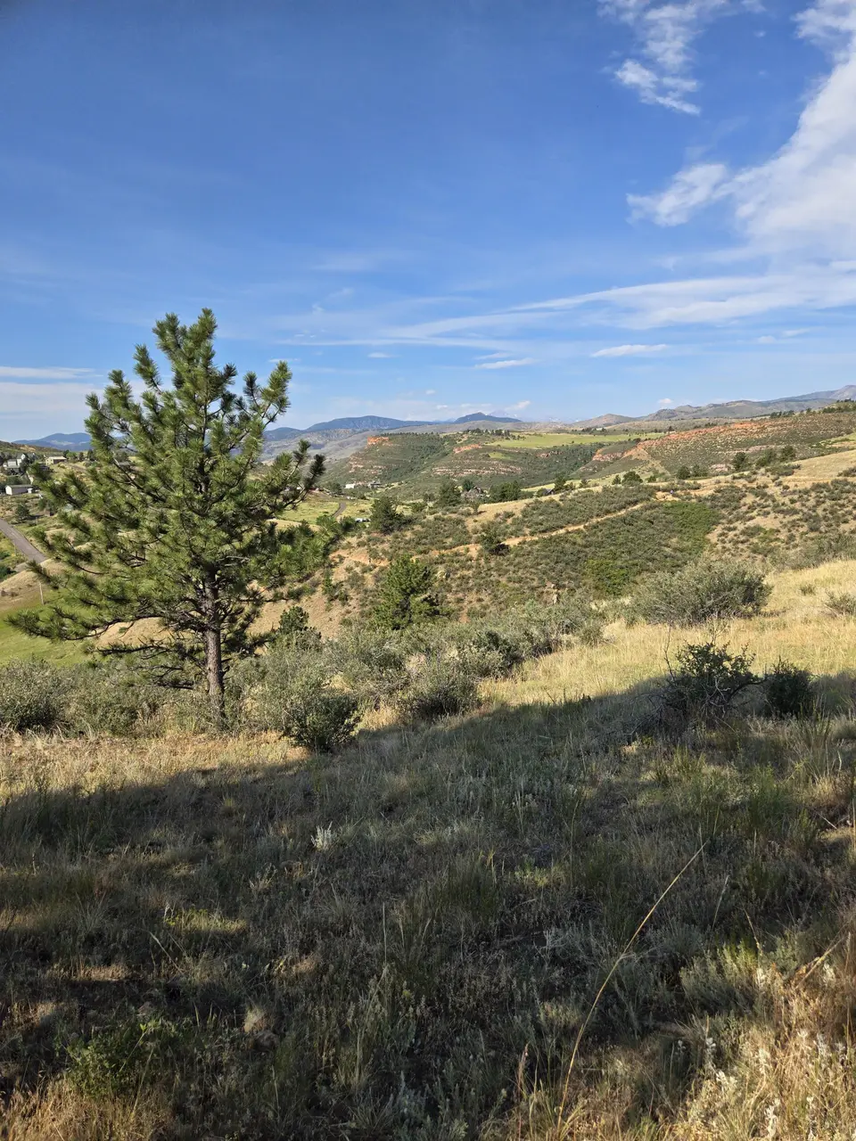 Horsetooth Mountain