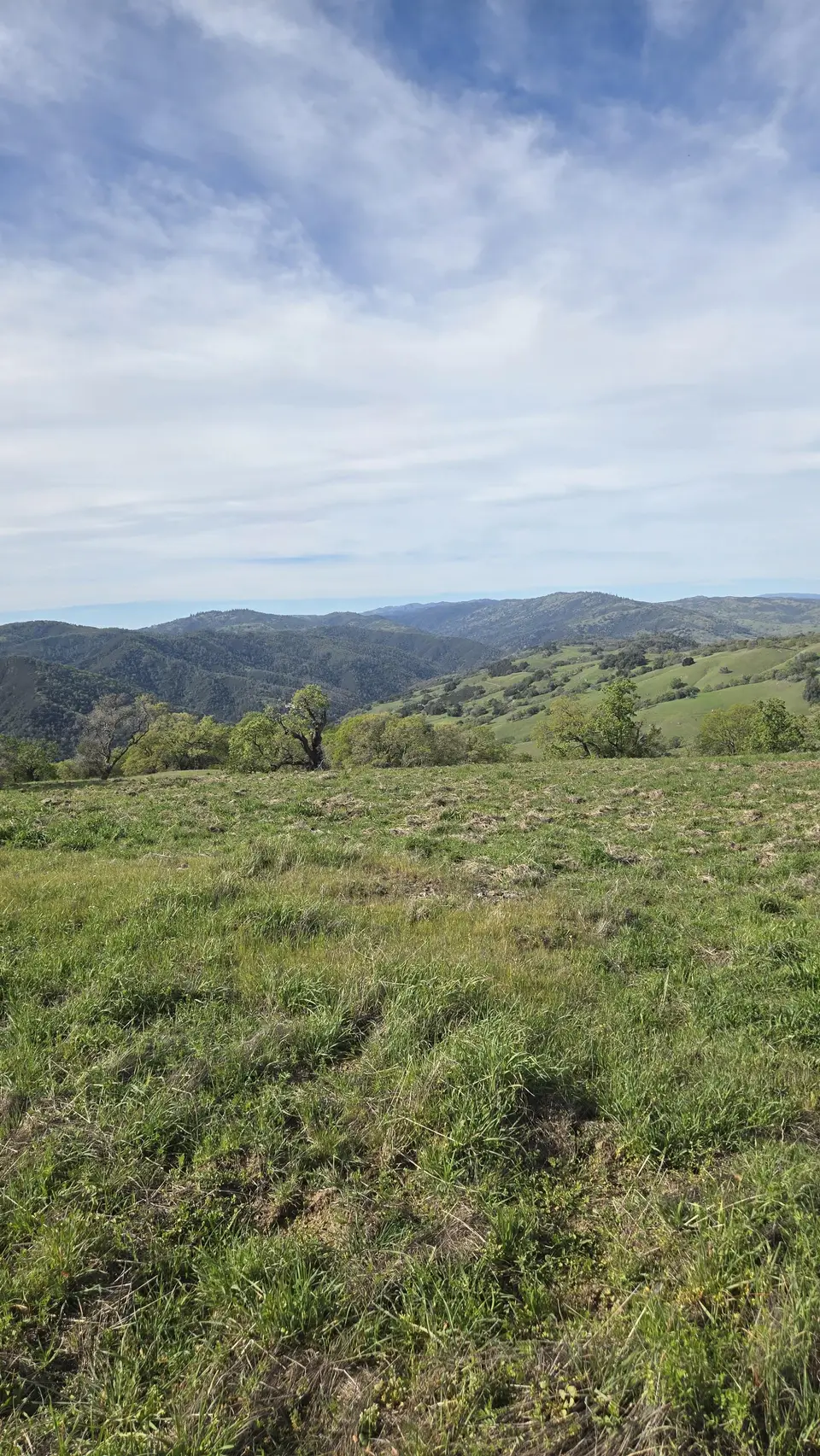 Jackson Trail