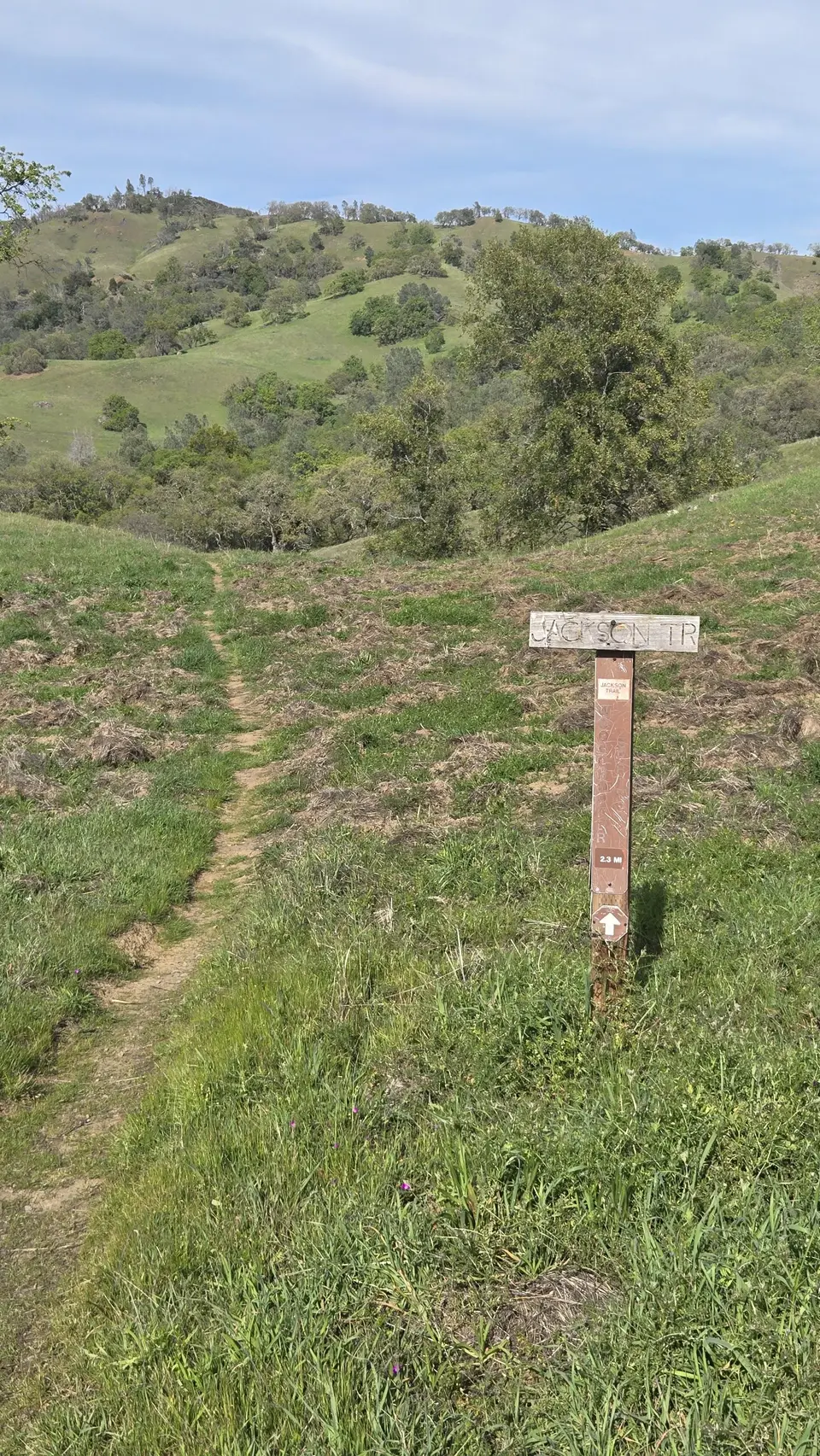 Jackson Trail