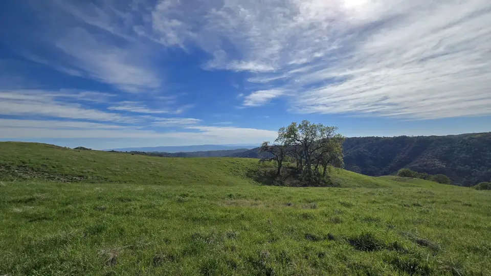 Jackson Trail