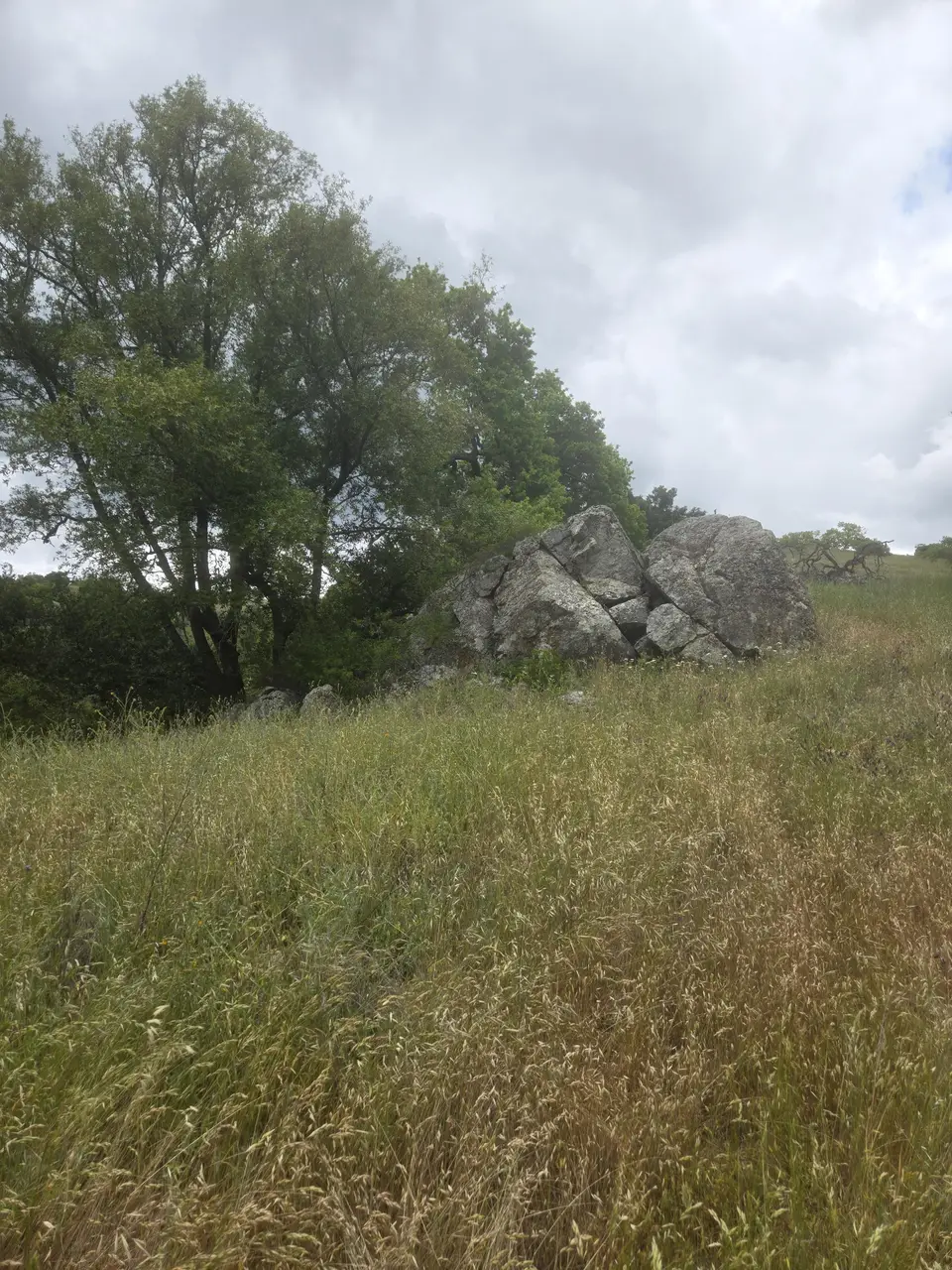 Jim Connelly Trail