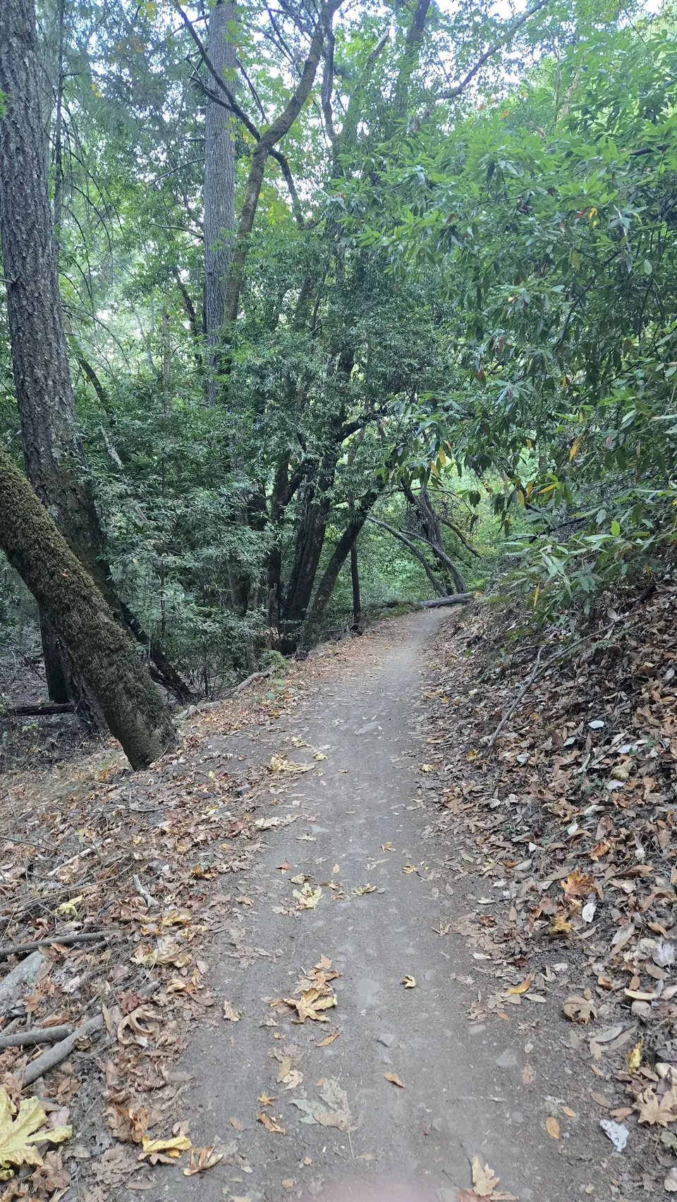 John Nicholas Trail