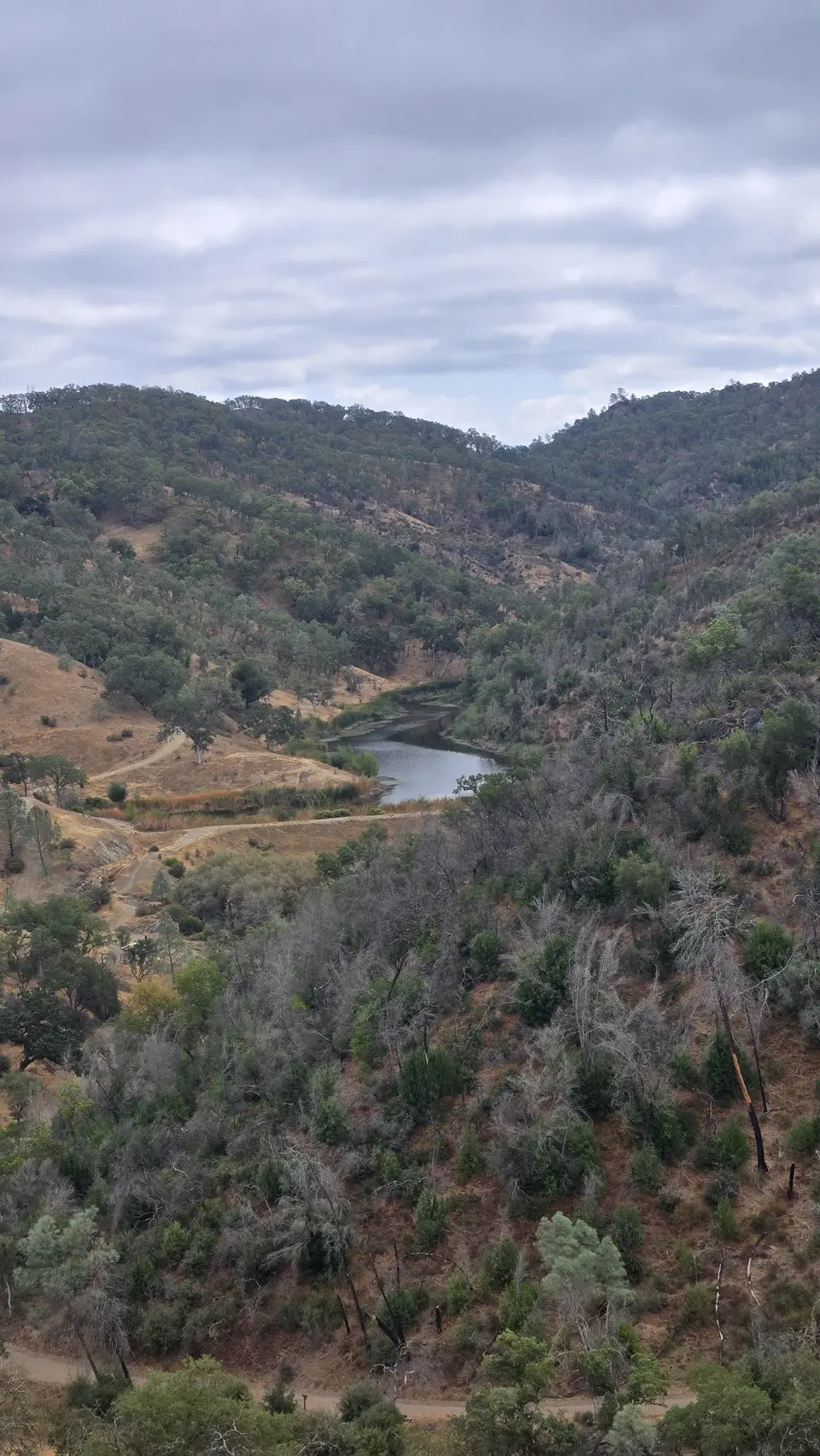 Kelly Lake