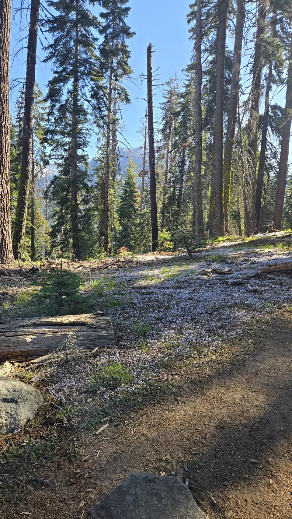 Lakes Trail - Lower