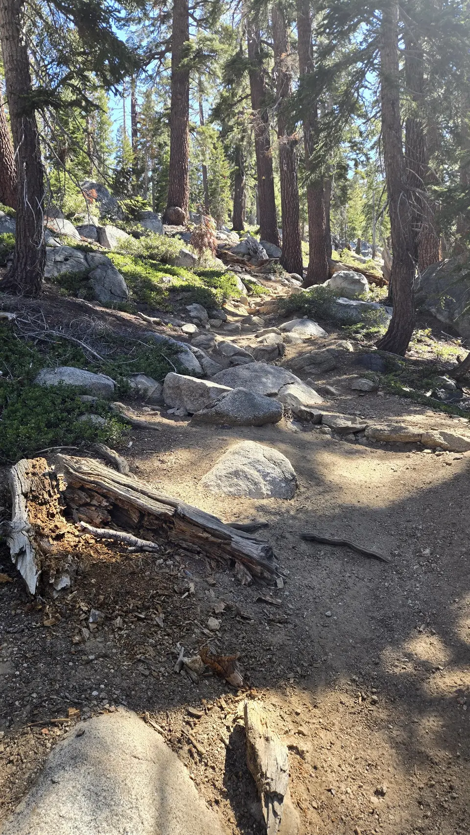 Lakes Trail - The Hump