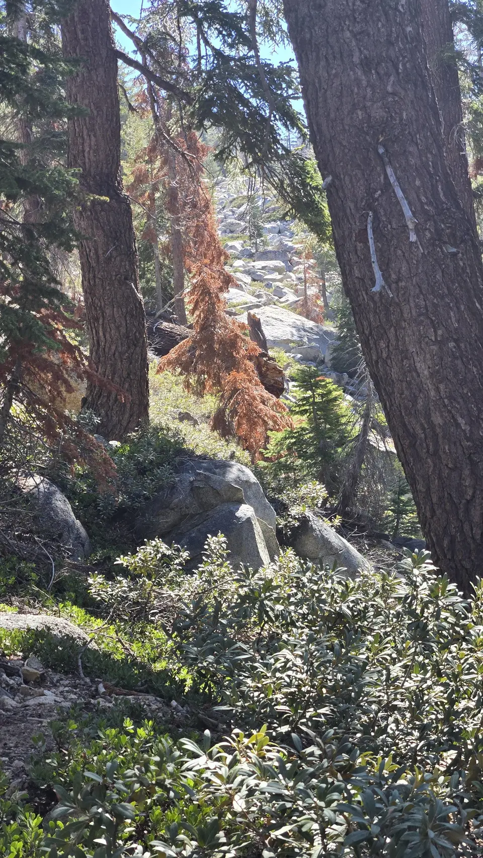 Lakes Trail - The Hump