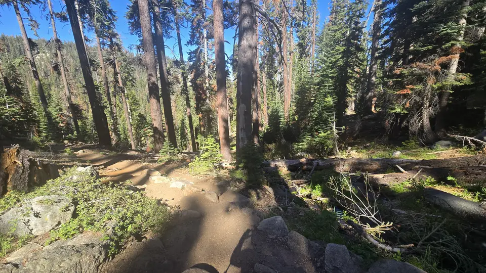Lakes Trail - Lower