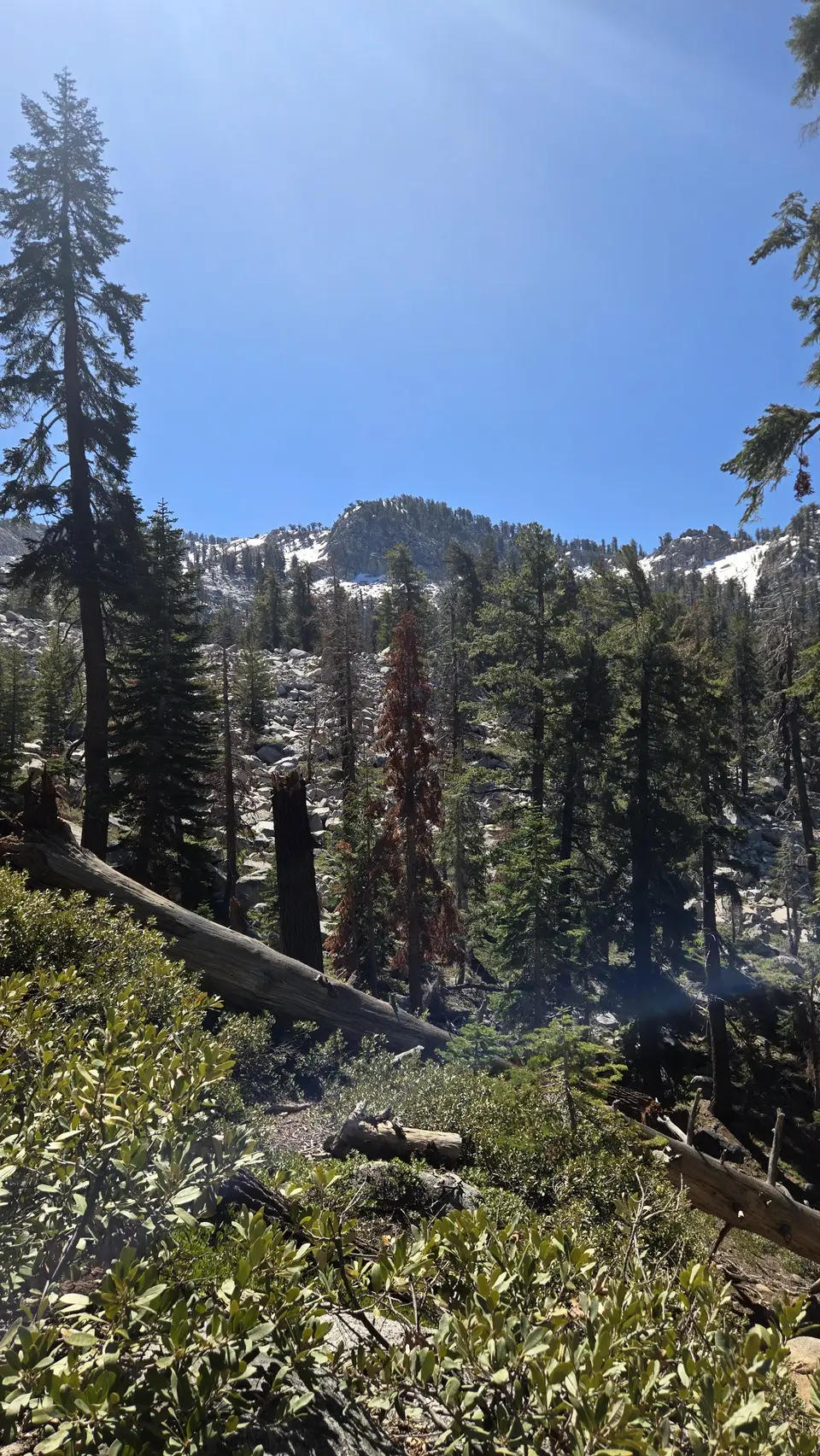 Lakes Trail - The Hump