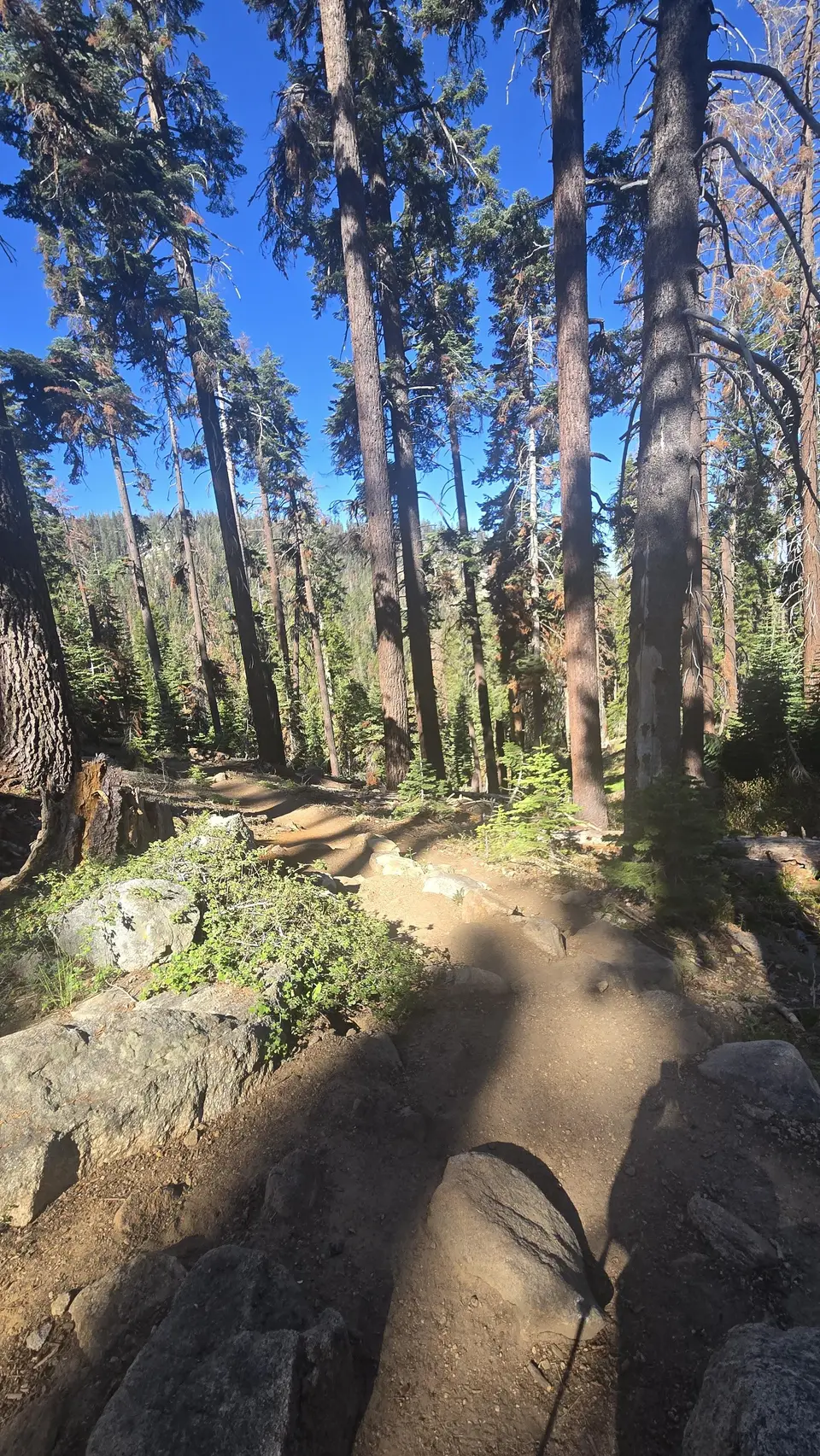 Lakes Trail - Lower