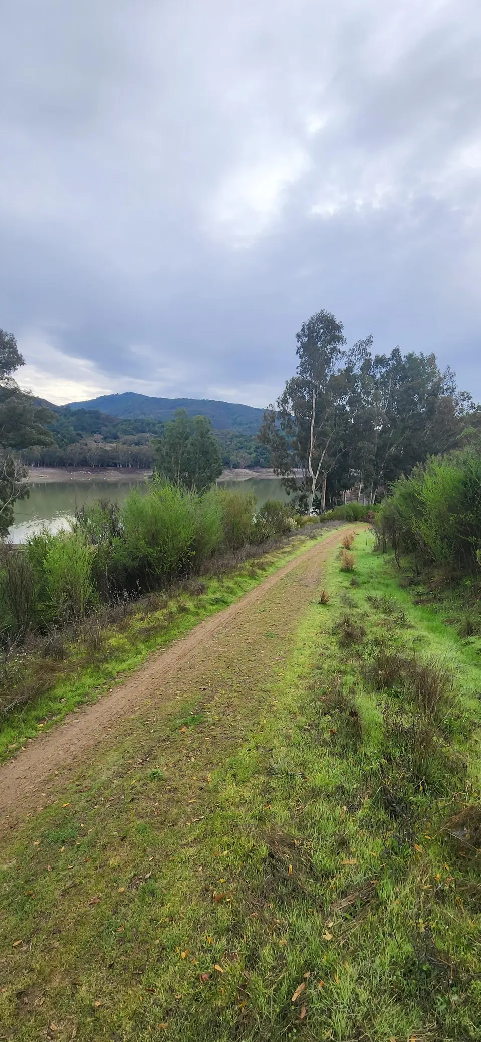Lexington Reservoir