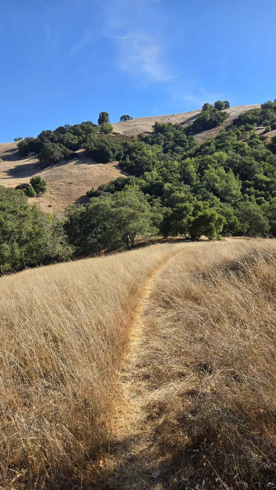 Long Dam Trail