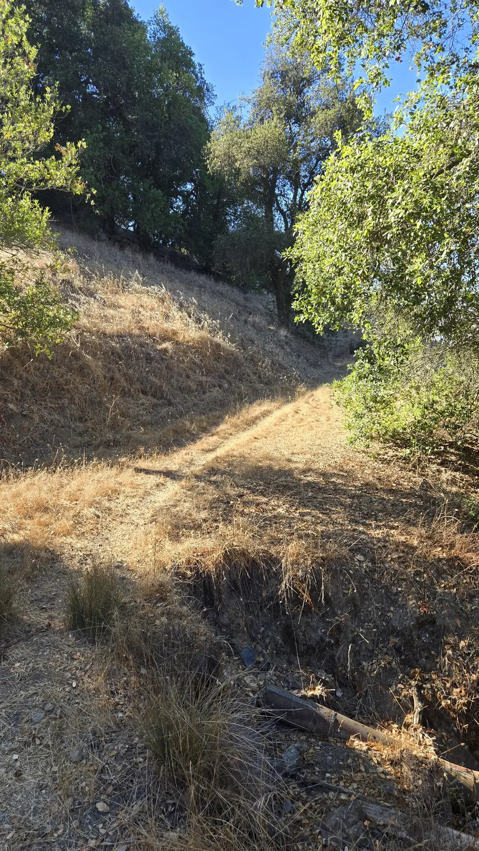 Long Dam Trail