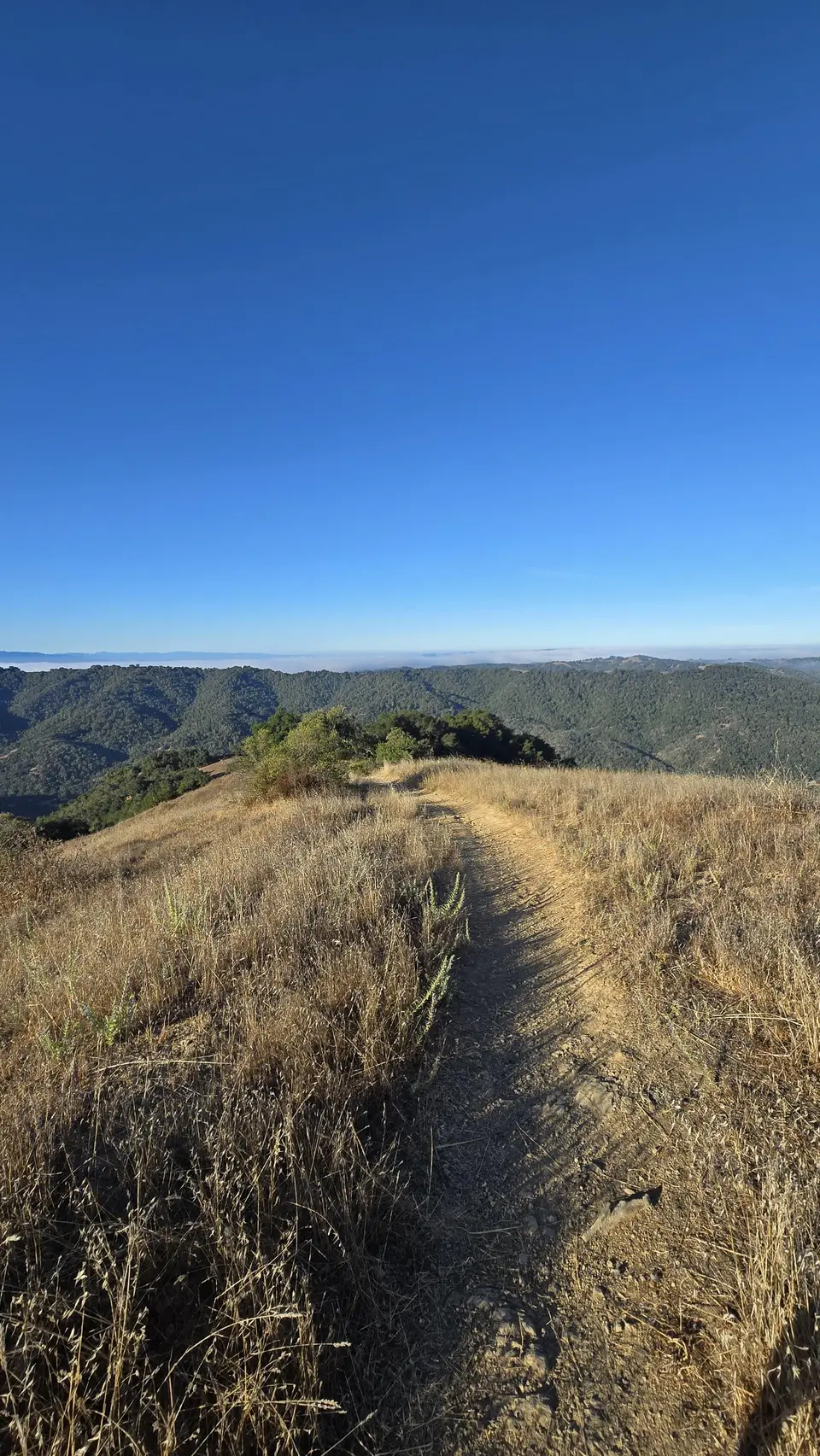 Lyman Wilson Ridge Trail