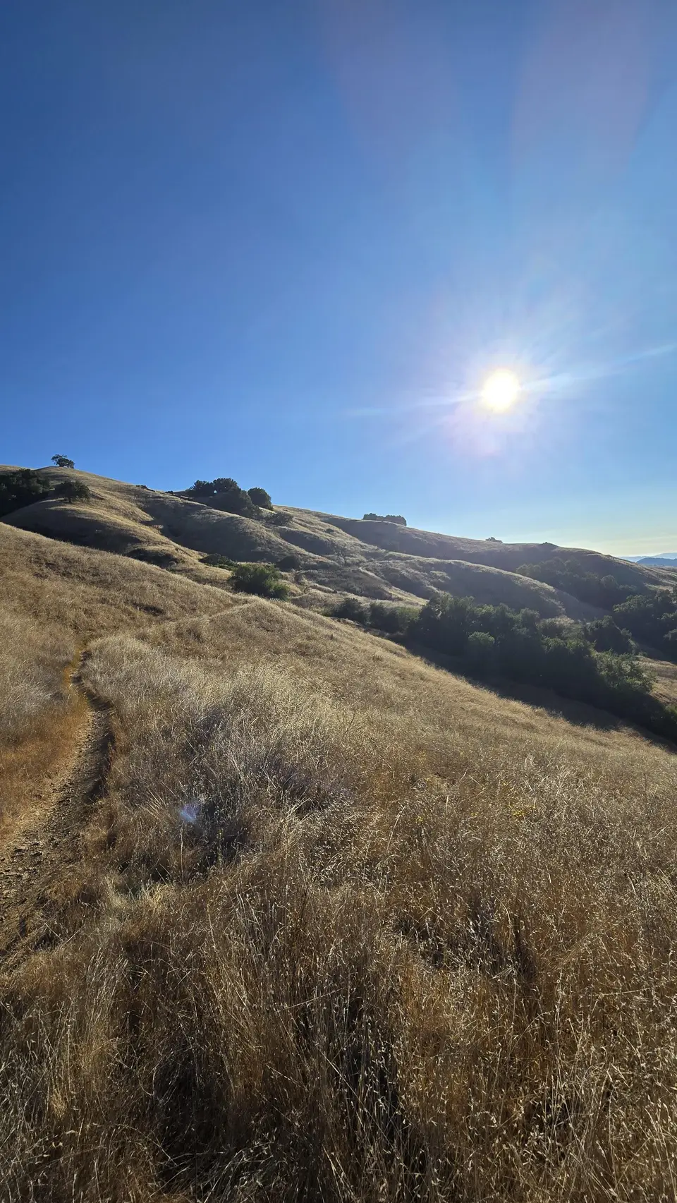 Lyman Wilson Ridge Trail