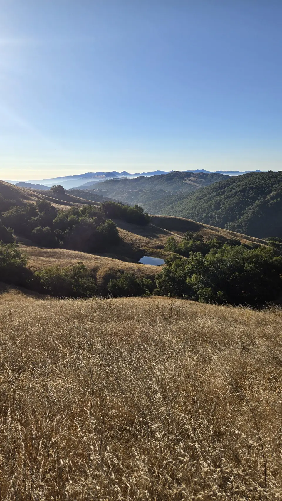Lyman Wilson Ridge Trail