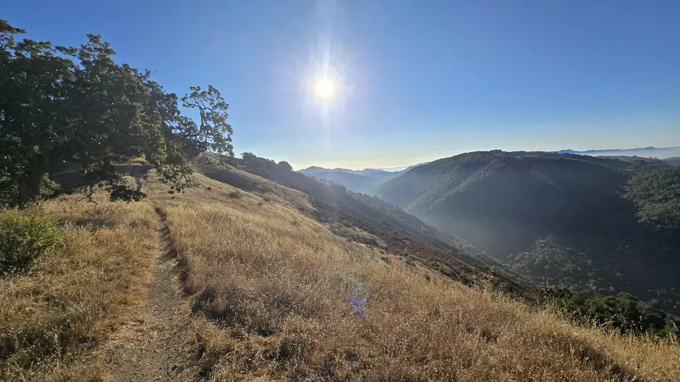Lyman Wilson Ridge Trail