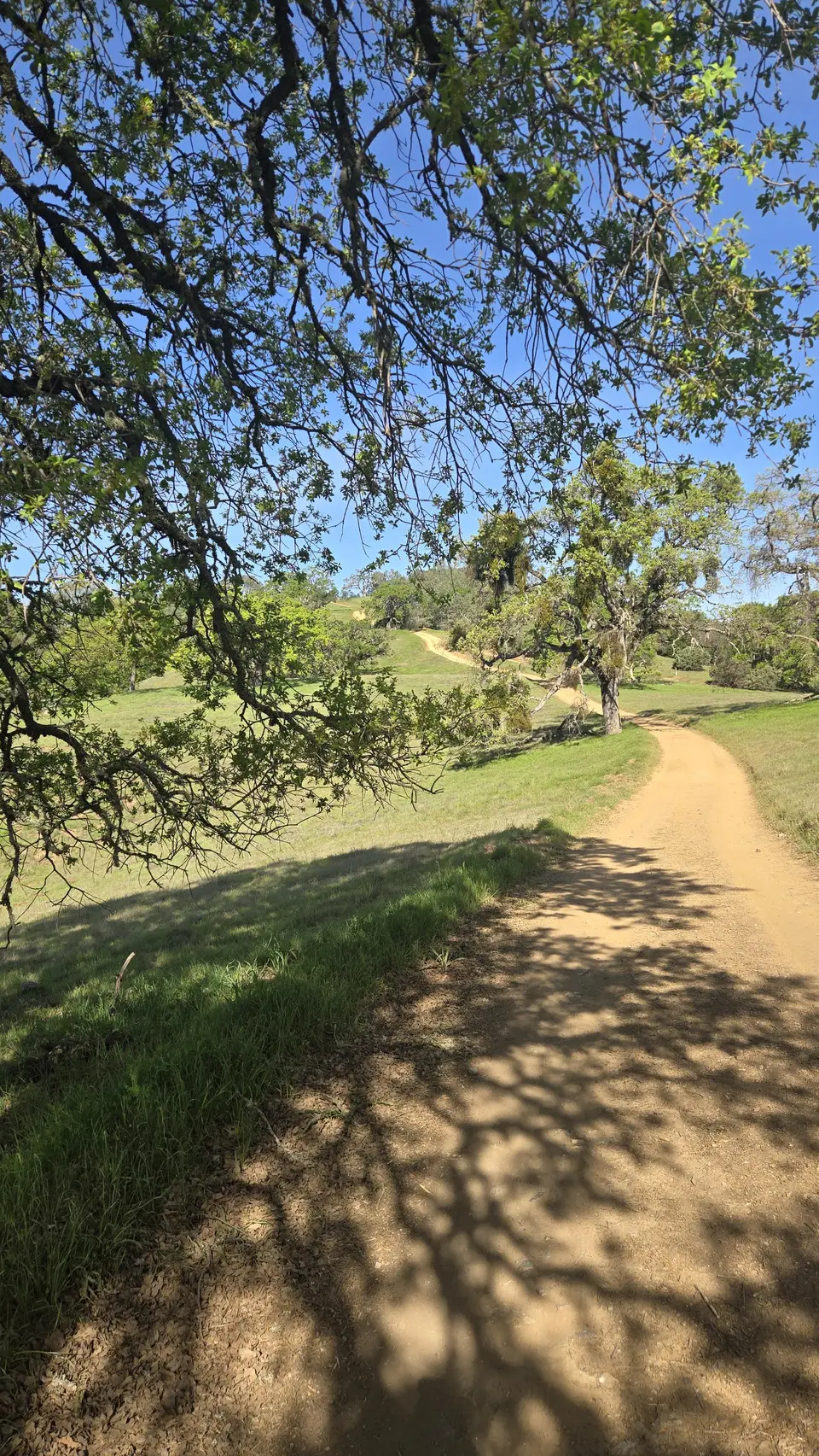 Manzanita Point Road
