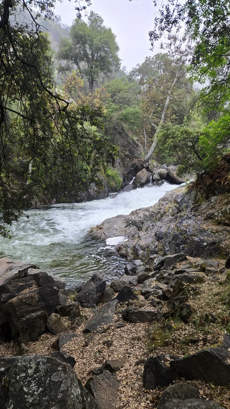 Marble Falls Trail