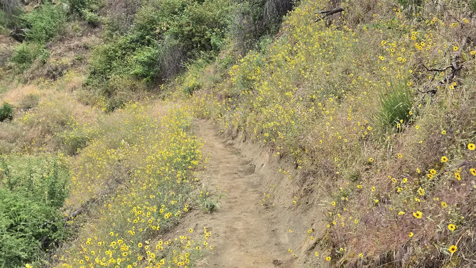 Marble Falls Trail