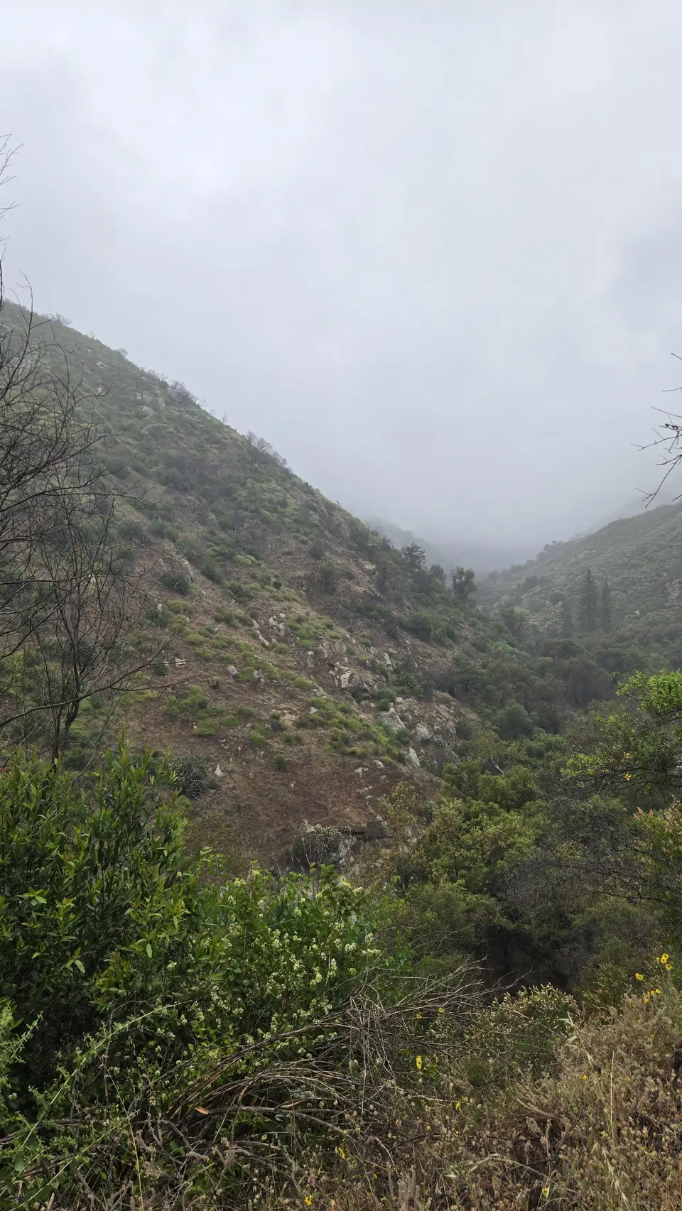 Marble Falls Trail