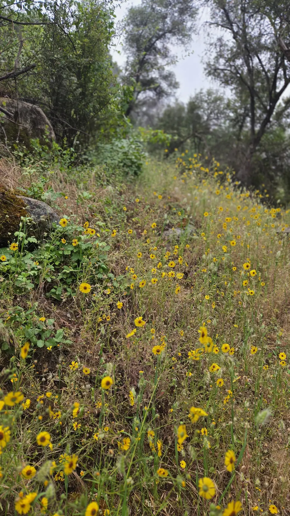 Marble Falls Trail
