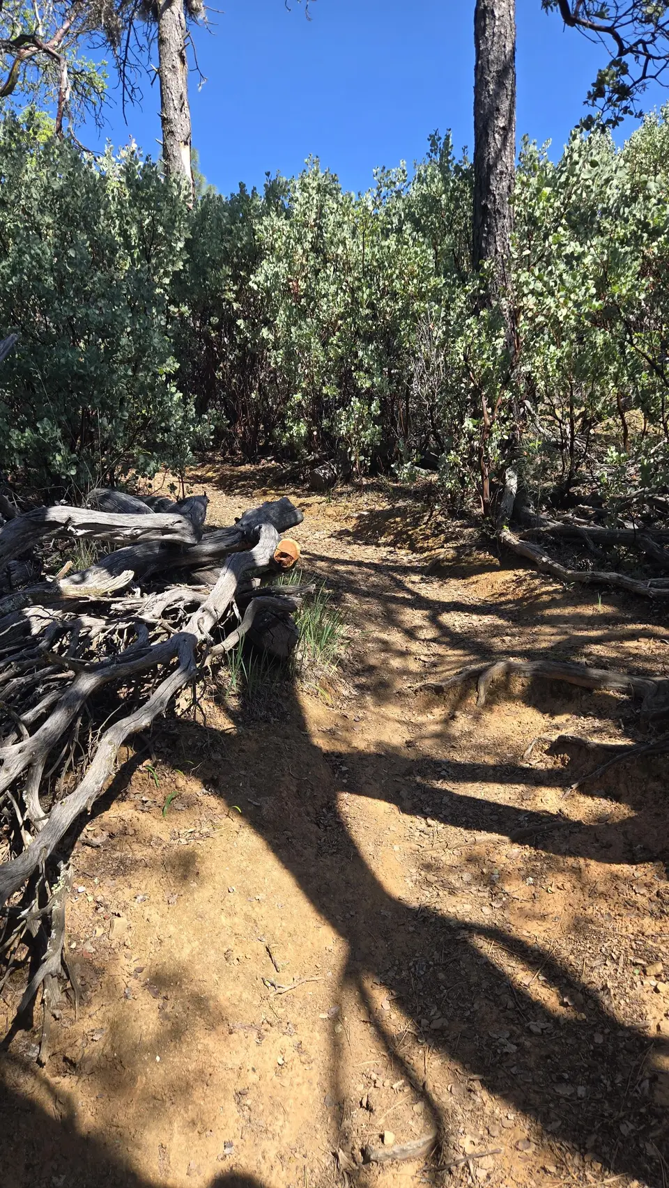 Middle Ridge Trail