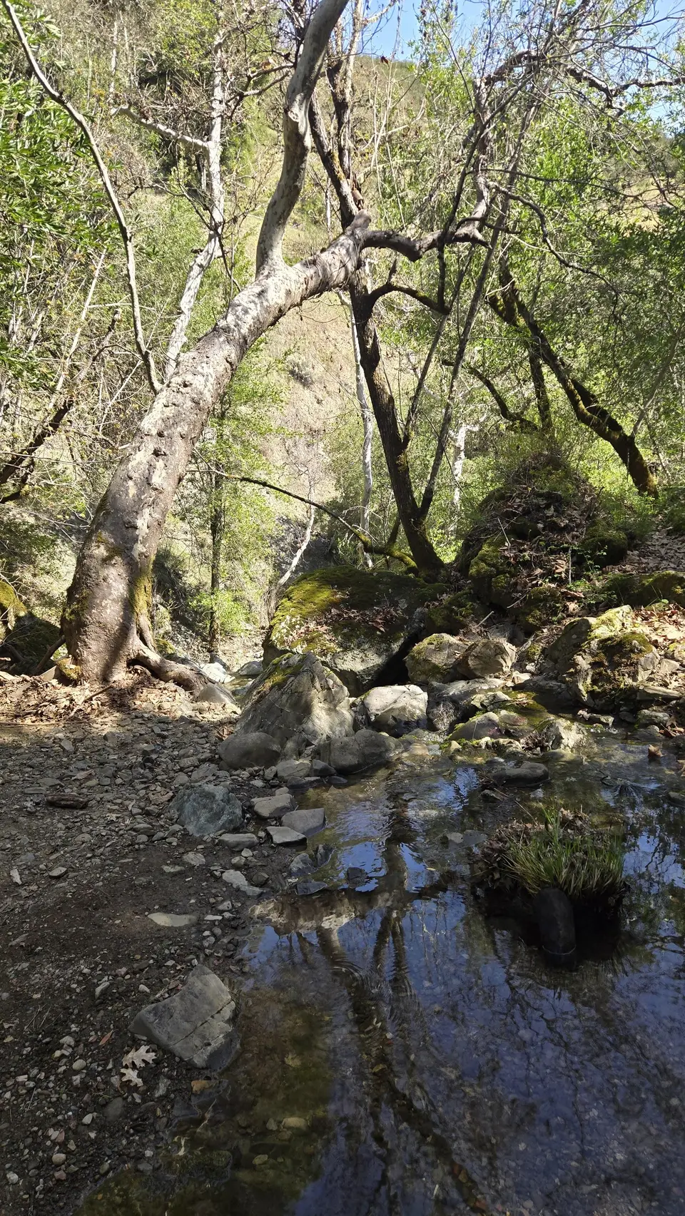 Mile Trail