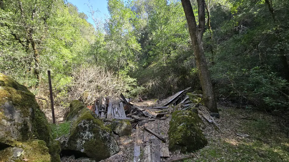 Mile Trail