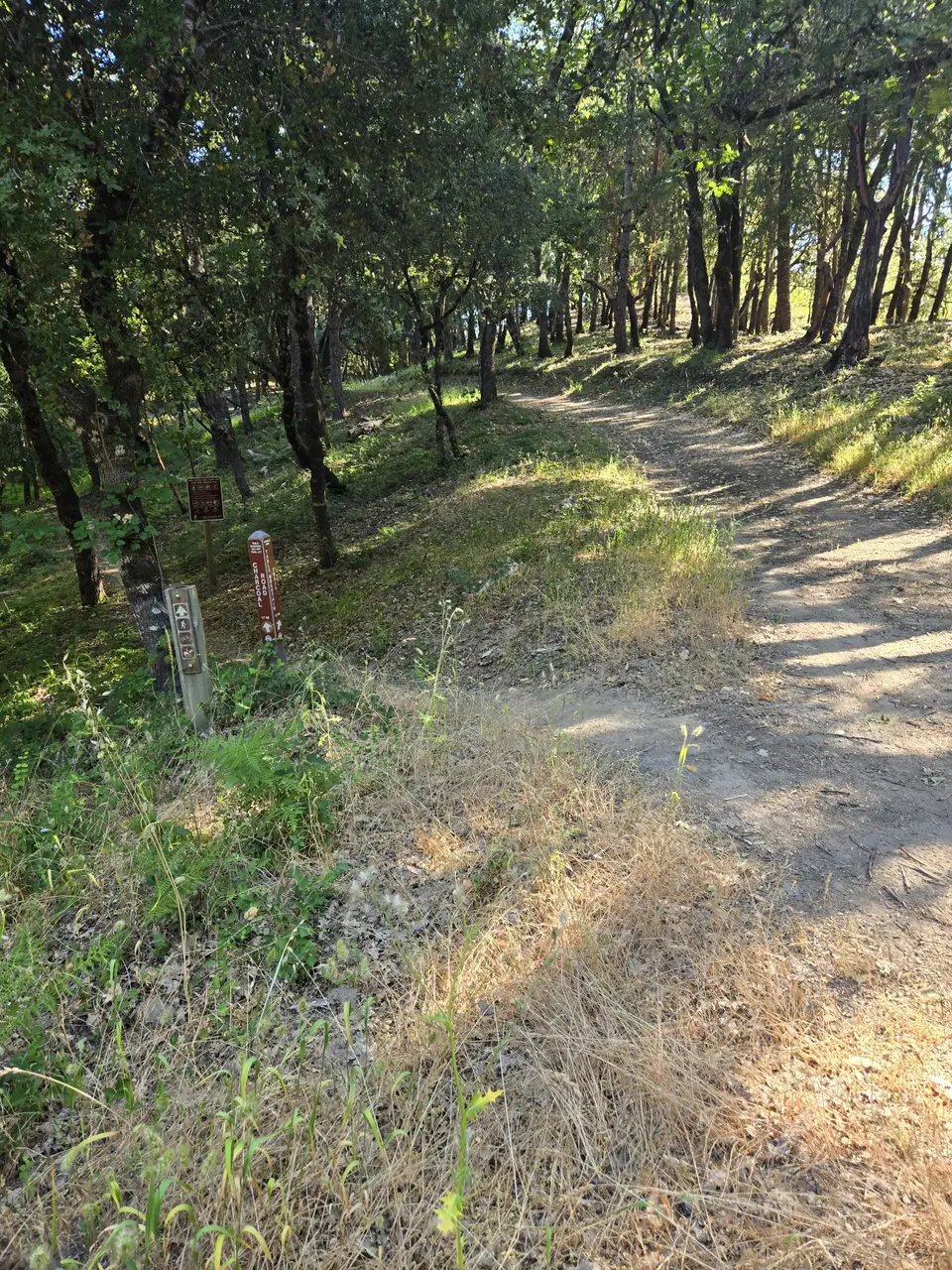 Monte Bello Open Space Preserve