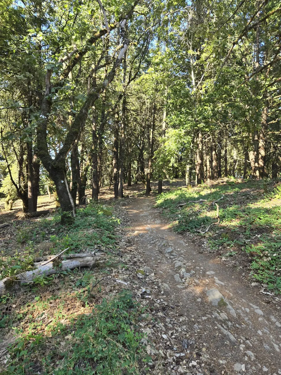 Monte Bello Open Space Preserve