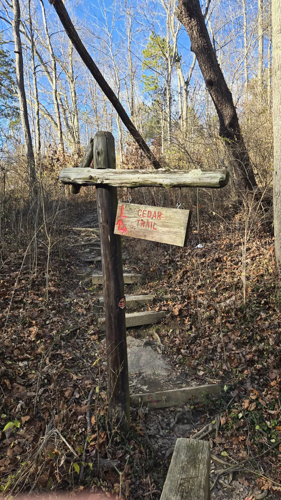 Mt Airy Forest