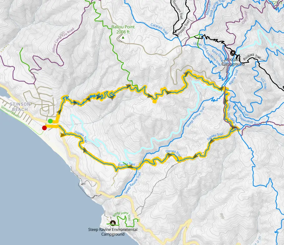 Mt Tam