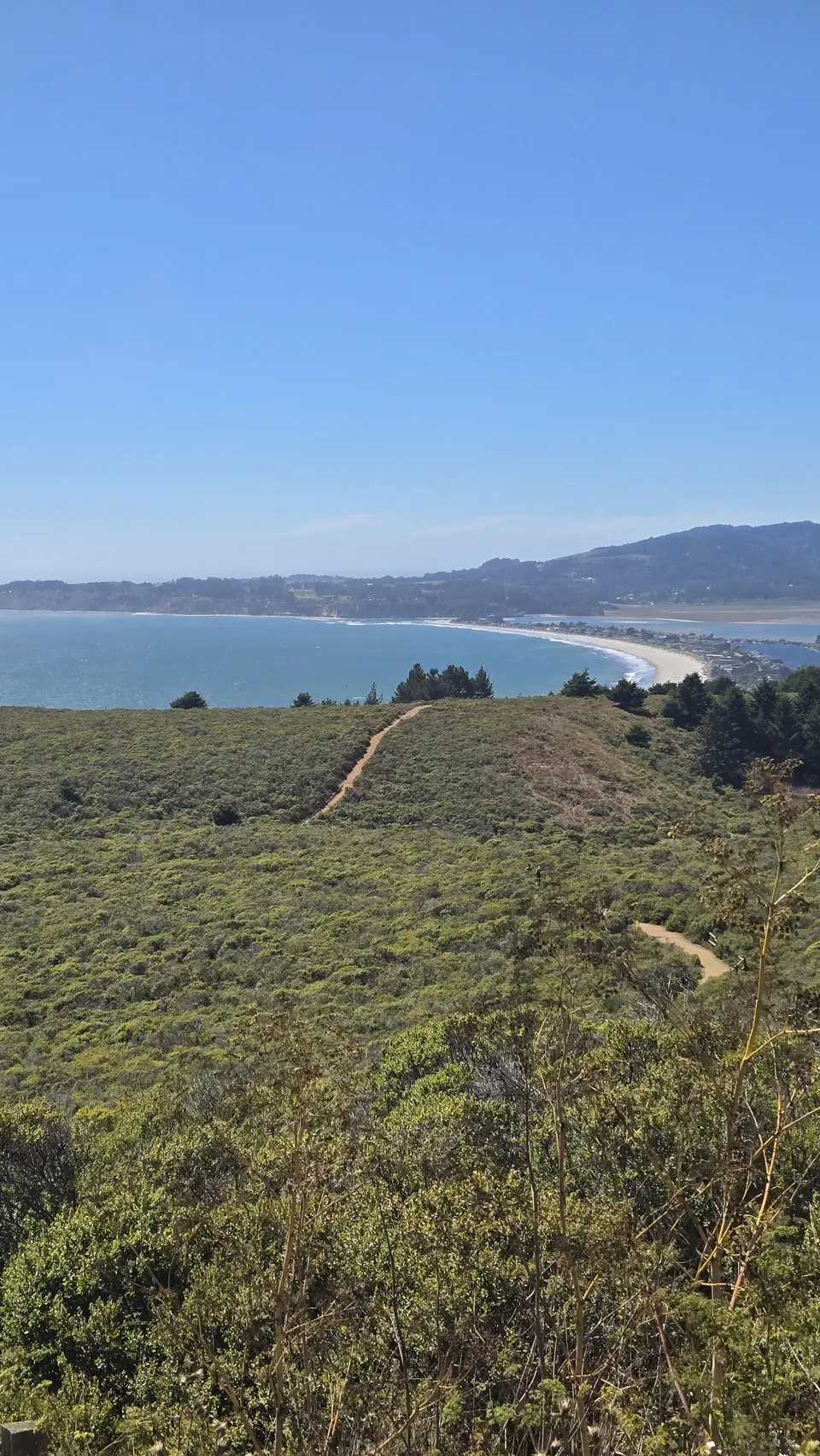 Mt Tam
