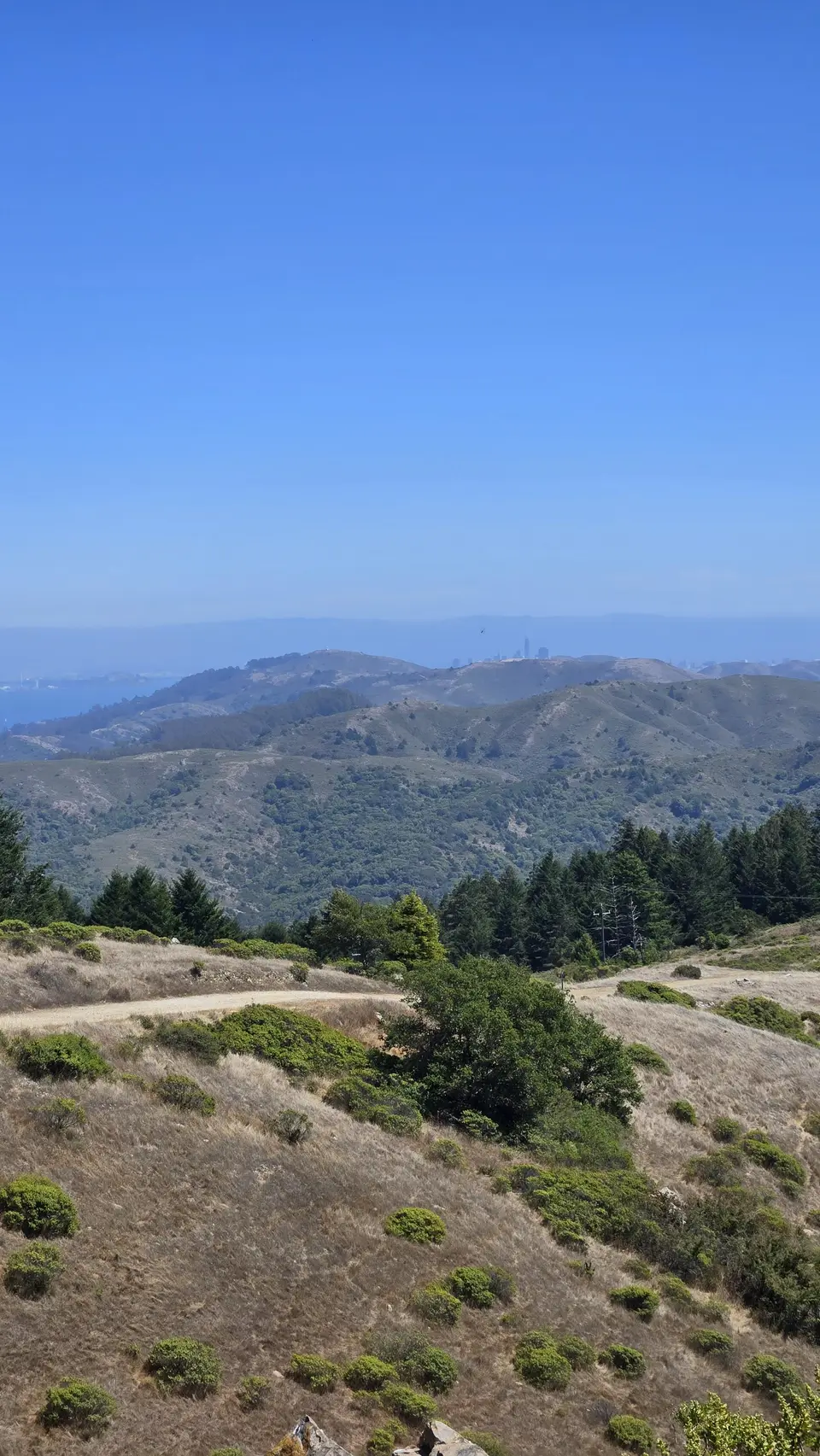 Mt Tam
