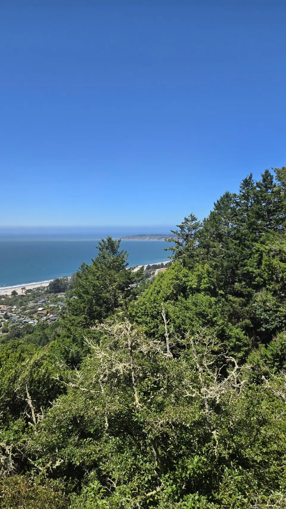 Mt Tam