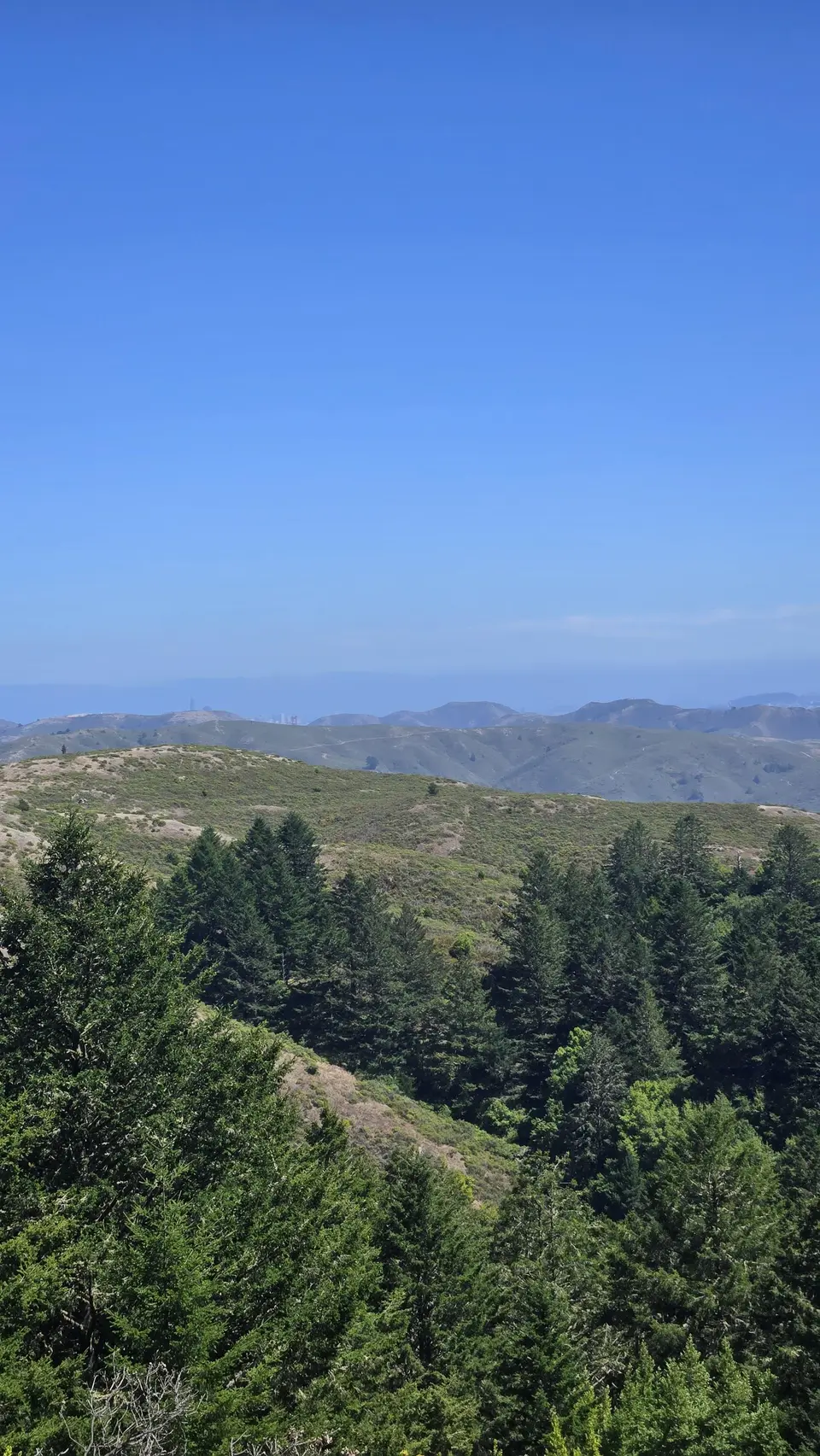Mt Tam