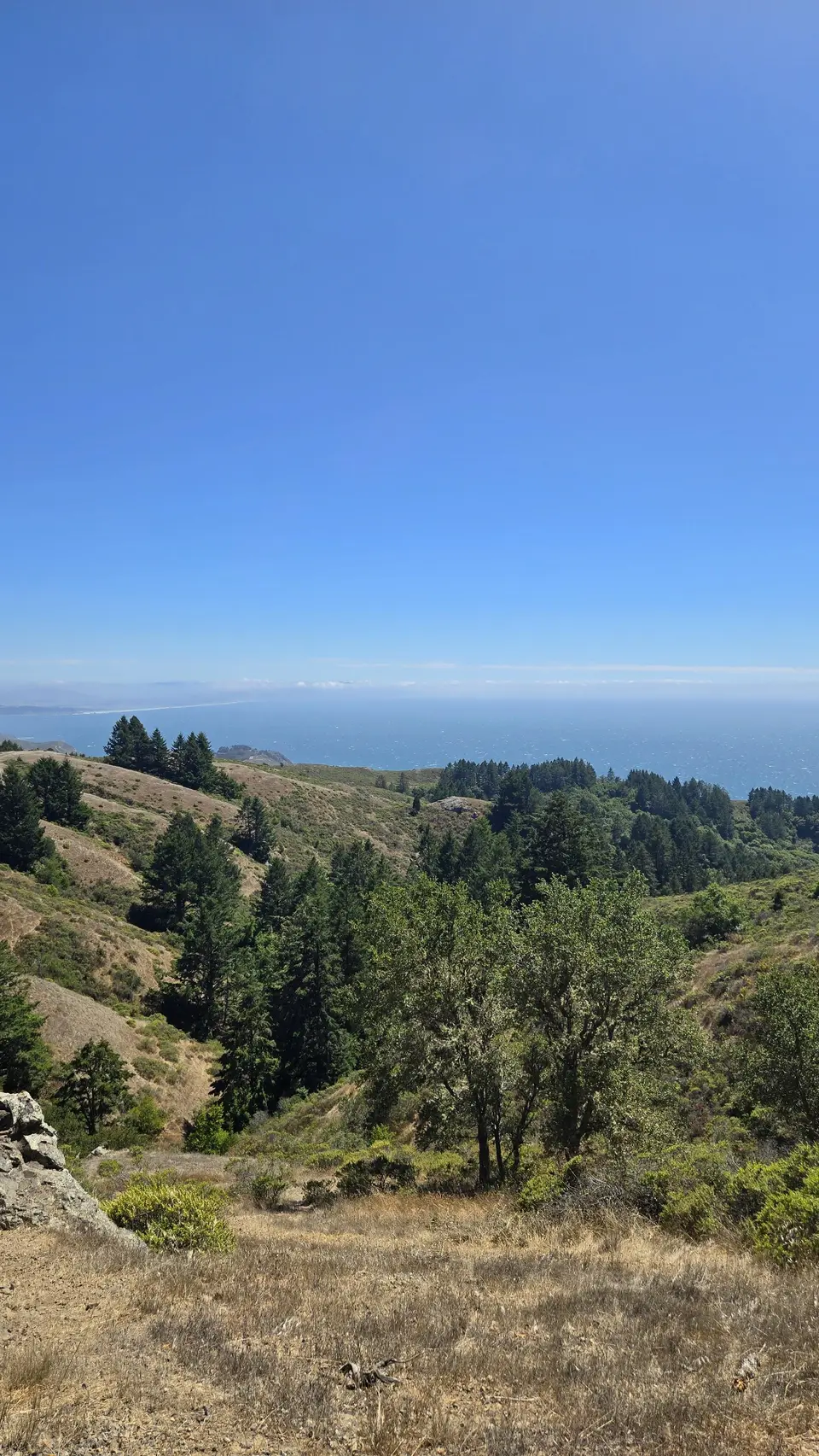 Mt Tam