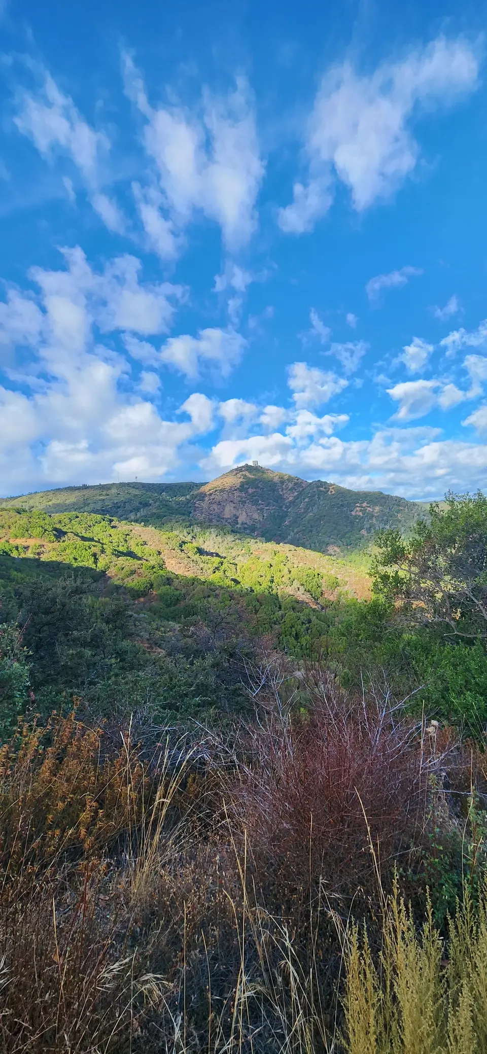 Mt Umunhum