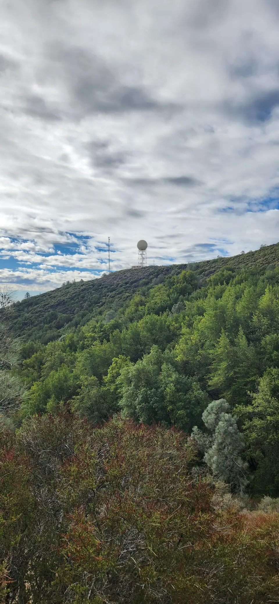 Mt Umunhum